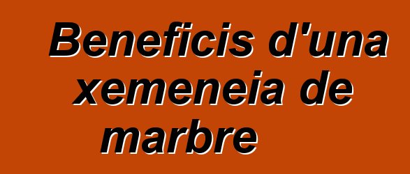 Beneficis d'una xemeneia de marbre