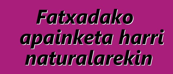 Fatxadako apainketa harri naturalarekin