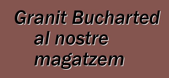 Granit Bucharted al nostre magatzem