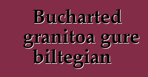 Bucharted granitoa gure biltegian