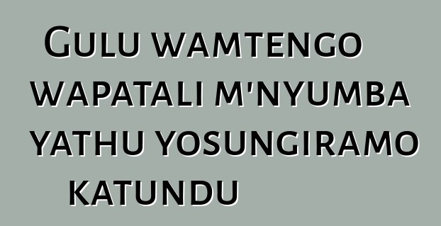 Gulu wamtengo wapatali m'nyumba yathu yosungiramo katundu