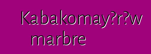 Kabakomayɔrɔw marbre