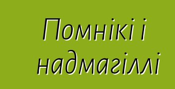 Помнікі і надмагіллі