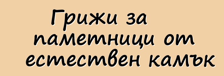 Грижи за паметници от естествен камък