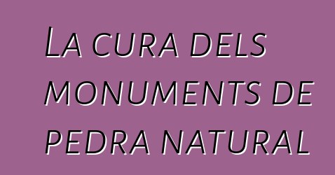 La cura dels monuments de pedra natural