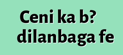 Cɛɲi ka bɔ dilanbaga fɛ