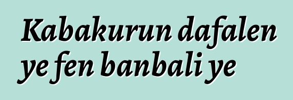 Kabakurun dafalen ye fɛn banbali ye