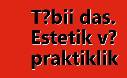 Təbii daş. Estetik və praktiklik