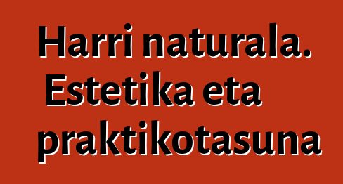 Harri naturala. Estetika eta praktikotasuna