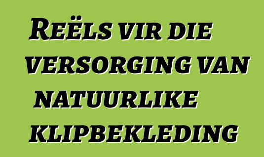 Reëls vir die versorging van natuurlike klipbekleding