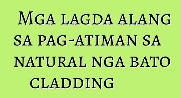 Mga lagda alang sa pag-atiman sa natural nga bato cladding