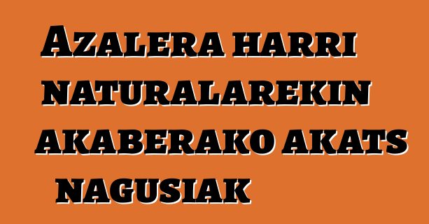 Azalera harri naturalarekin akaberako akats nagusiak