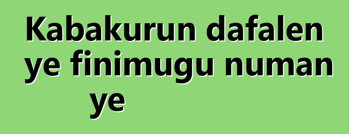 Kabakurun dafalen ye finimugu ɲuman ye