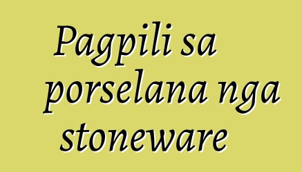 Pagpili sa porselana nga stoneware