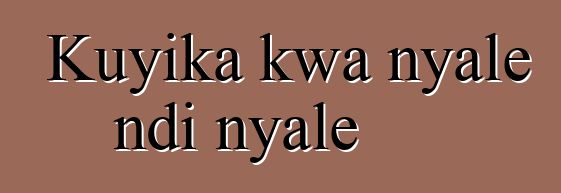 Kuyika kwa nyale ndi nyale