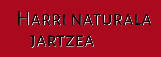 Harri naturala jartzea