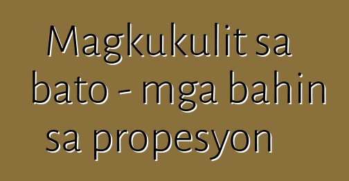 Magkukulit sa bato - mga bahin sa propesyon