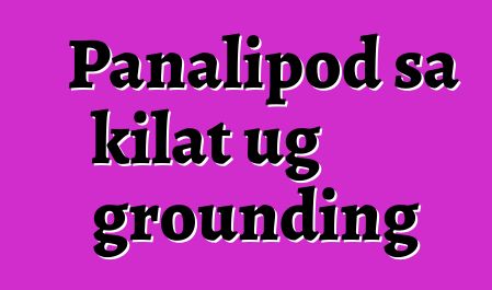 Panalipod sa kilat ug grounding