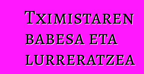 Tximistaren babesa eta lurreratzea