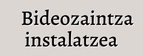 Bideozaintza instalatzea