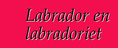 Labrador en labradoriet