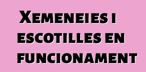 Xemeneies i escotilles en funcionament