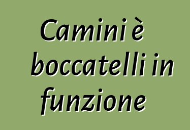 Camini è boccatelli in funzione