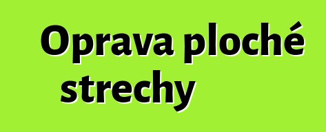 Oprava ploché střechy