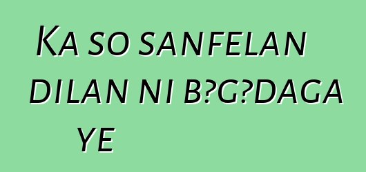 Ka so sanfɛlan dilan ni bɔgɔdaga ye