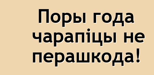 Поры года чарапіцы не перашкода!