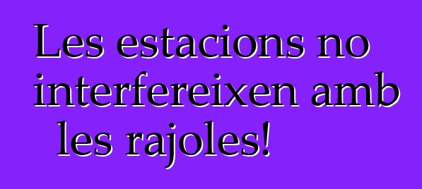 Les estacions no interfereixen amb les rajoles!