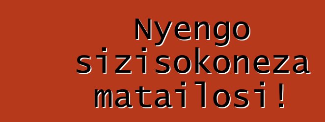 Nyengo sizisokoneza matailosi!