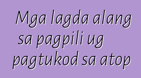 Mga lagda alang sa pagpili ug pagtukod sa atop