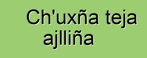 Ch’uxña teja ajlliña