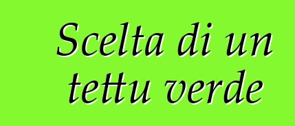 Scelta di un tettu verde