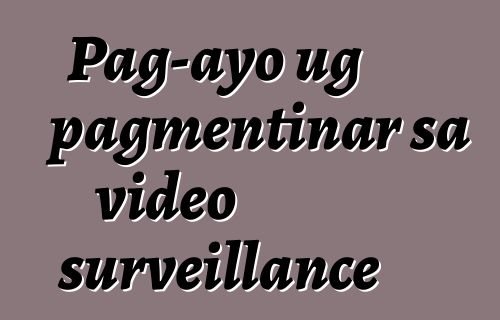 Pag-ayo ug pagmentinar sa video surveillance