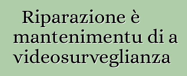 Riparazione è mantenimentu di a videosurveglianza