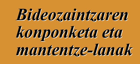 Bideozaintzaren konponketa eta mantentze-lanak