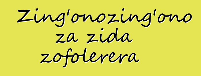 Zing'onozing'ono za zida zofolerera