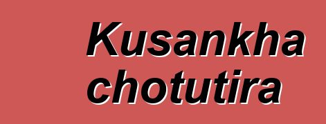 Kusankha chotutira