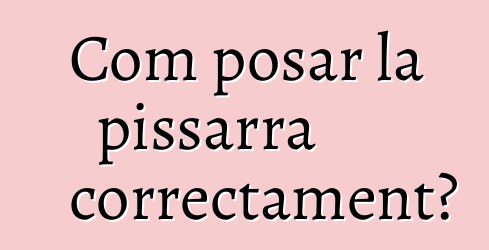 Com posar la pissarra correctament?