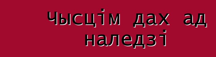 Чысцім дах ад наледзі