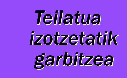 Teilatua izotzetatik garbitzea