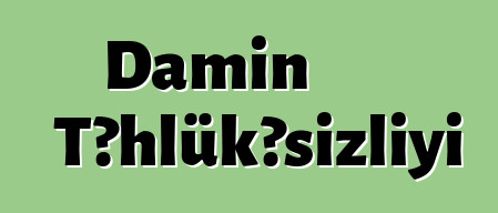 Damın Təhlükəsizliyi