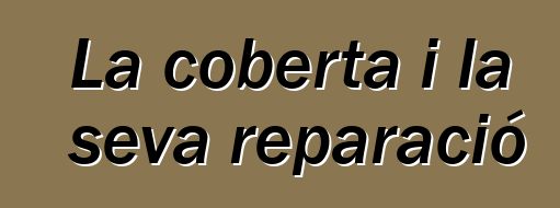 La coberta i la seva reparació