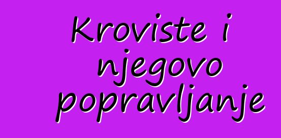 Krovište i njegovo popravljanje