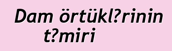 Dam örtüklərinin təmiri