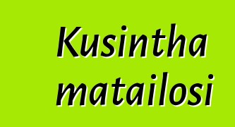 Kusintha matailosi