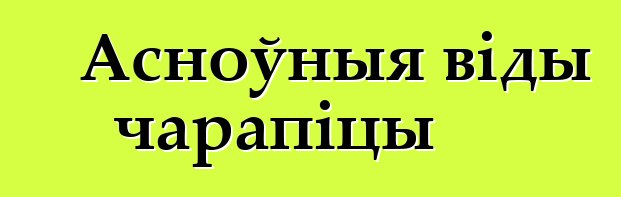 Асноўныя віды чарапіцы