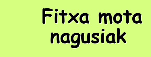 Fitxa mota nagusiak